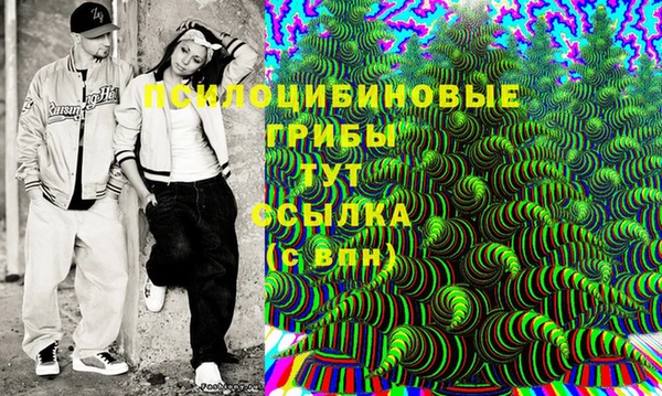 мескалин Богданович